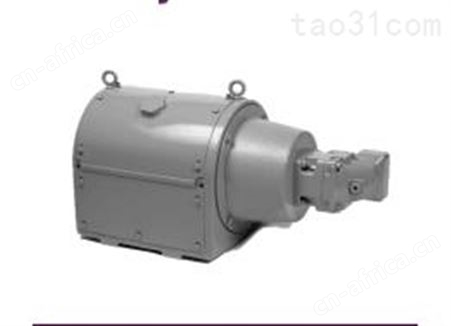 INVICTA振动器INVICTA