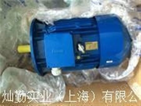 Cantoni异步电机转子