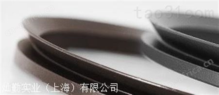 FP PARIS密封件G2SM