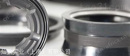 FP PARIS密封件G2SM