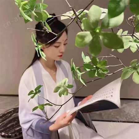 汉服古装专业租赁 妆发造型等服务提供