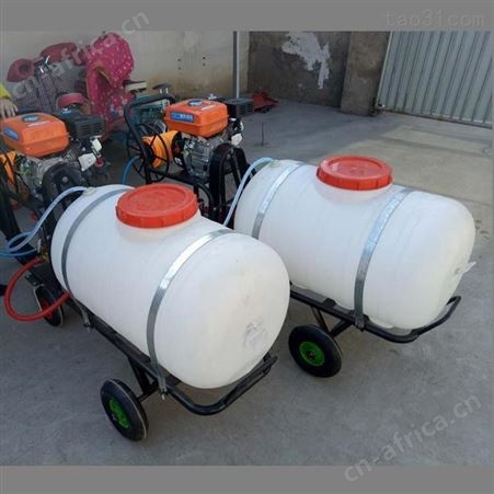 汇鑫BF手推式打药车 园林内燃高压打药喷雾器 汽油打药机