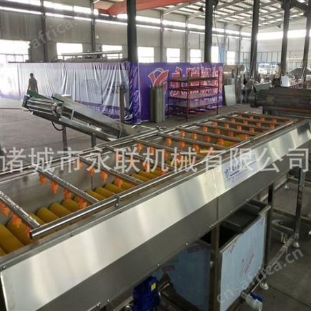 全自动小番薯毛刷去泥清洗机 板栗红薯毛辊去泥清洗设备