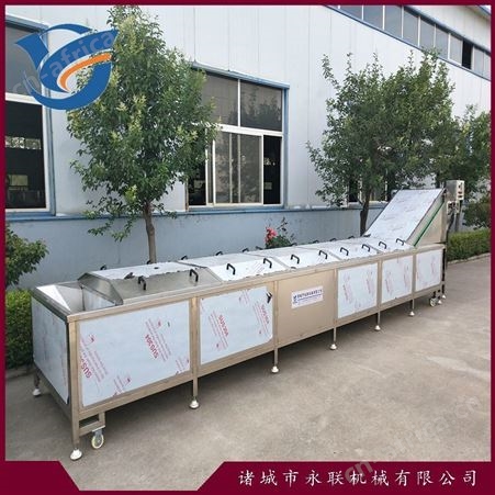 海带扣蒸煮漂烫流水线 不锈钢鱿鱼花漂烫机 萝卜片预煮机