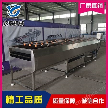 永联 果蔬毛刷清洗机直销 不锈钢毛刷清洗机直销