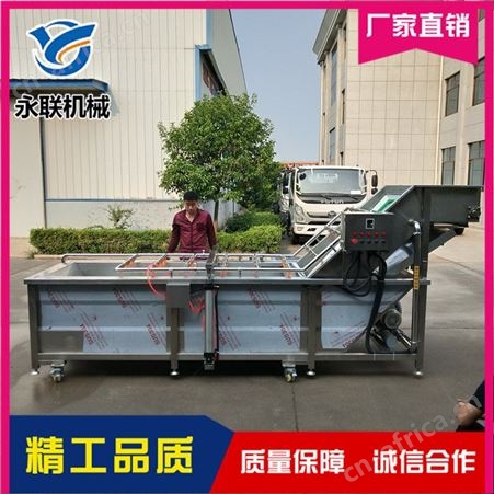 洗大蒜机器 咸菜疙瘩清洗机 辣菜气泡清洗机