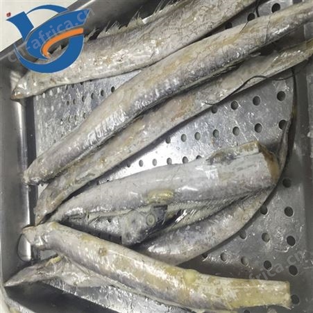带鱼挂冰机 鲅鱼挂冰机 胖头鱼冰衣设备