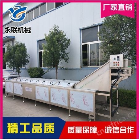 小型连续式蒸煮漂烫机 大型蒸煮漂烫机 黄桃漂烫杀青设备