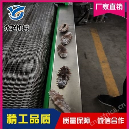 青刀豆速冻隧道多少钱 包子速冻隧道多少钱 永联