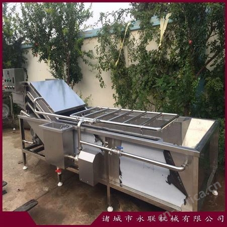 根茎类蔬菜清洗机 豌豆粒气泡清洗设备