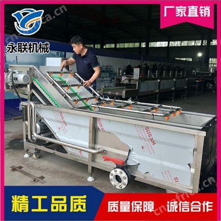 生姜全自动气泡清洗机 黄花菜连续式气泡喷淋清洗设备