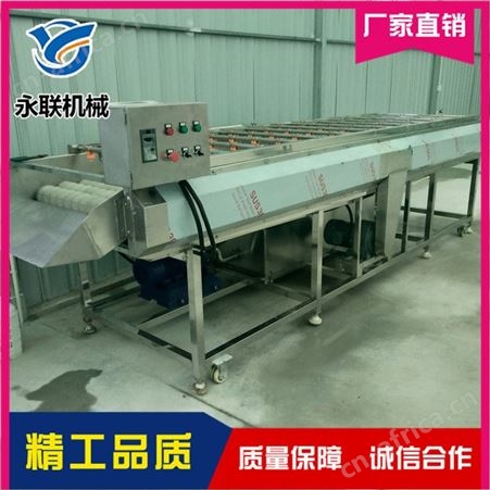 永联 果蔬毛刷清洗机直销 不锈钢毛刷清洗机直销