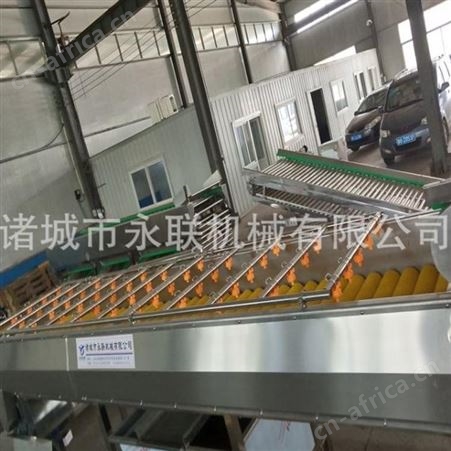 全自动小番薯毛刷去泥清洗机 板栗红薯毛辊去泥清洗设备