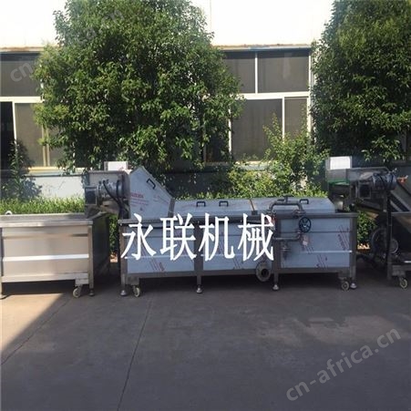 连续式芋头条漂烫杀青设备 蒲公英全自动漂烫杀青机