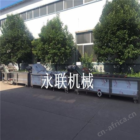 连续式芋头条漂烫杀青设备 蒲公英全自动漂烫杀青机