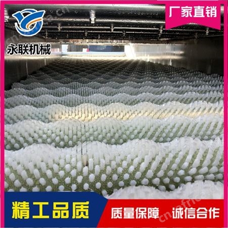 永联 海蛎子去皮清洗机 多功能去皮清洗机 莲藕去皮清洗机多少钱