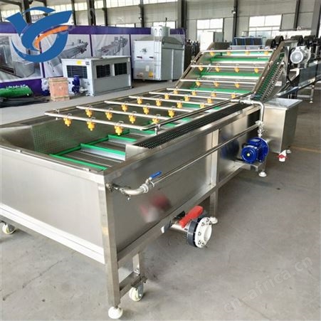 蔬菜清洗机 定做橄榄菜清洗风干设备 小青柑全自动清洗机