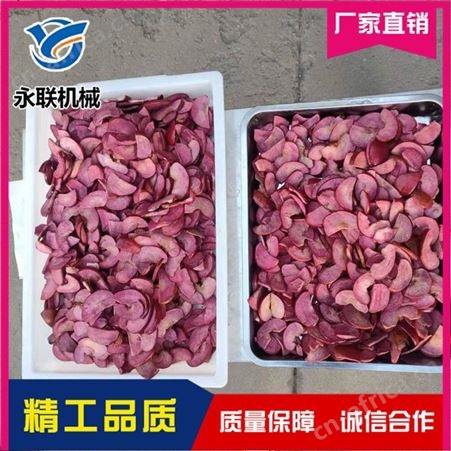 香菇脆真空低温油炸机设备 果蔬脆加工设备 香酥大蒜全自动真空油炸机