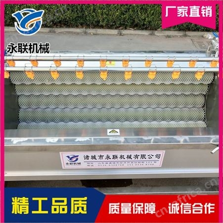 土豆清洗机 永联 地瓜清洗机哪家好 土豆清洗机多少钱
