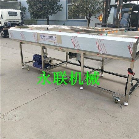 全自动小番薯毛刷去泥清洗机 板栗红薯毛辊去泥清洗设备