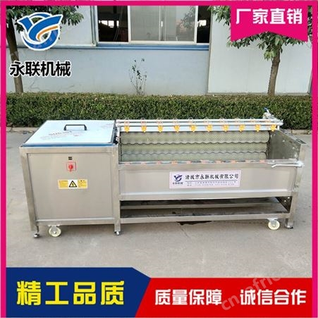 南瓜轴刷机哪里有 刺参轴刷机哪家好 永联 土豆轴刷机现货直销