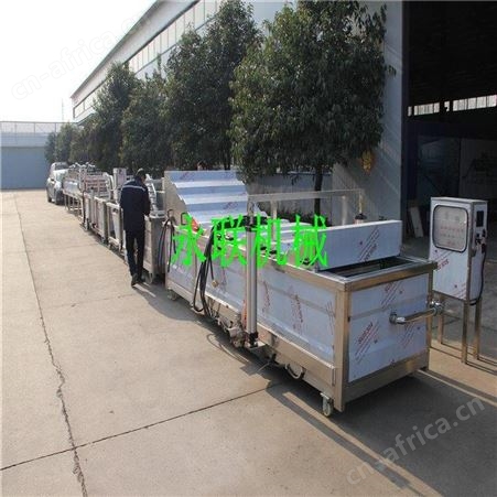 连续式芋头条漂烫杀青设备 蒲公英全自动漂烫杀青机