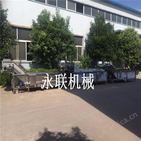 连续式芋头条漂烫杀青设备 蒲公英全自动漂烫杀青机