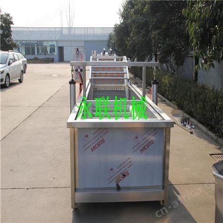 根茎类蔬菜清洗机 豌豆粒气泡清洗设备