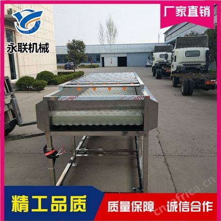 全自动草石蚕毛刷清洗机 苤蓝清洗机 全自动贝贝小南瓜毛刷清洗机