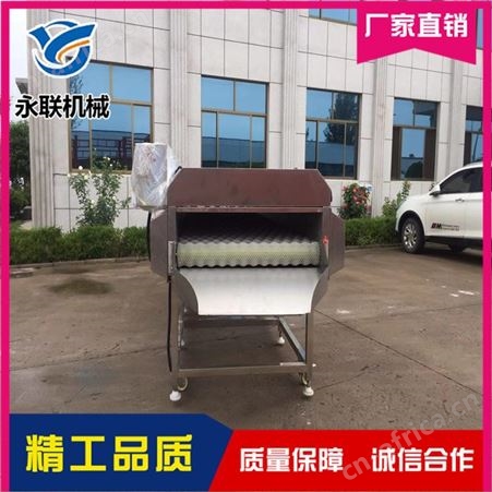 全自动草石蚕毛刷清洗机 苤蓝清洗机 全自动贝贝小南瓜毛刷清洗机