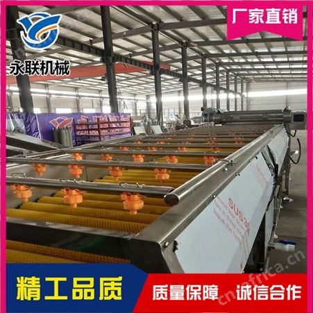 全自动草石蚕毛刷清洗机 苤蓝清洗机 全自动贝贝小南瓜毛刷清洗机