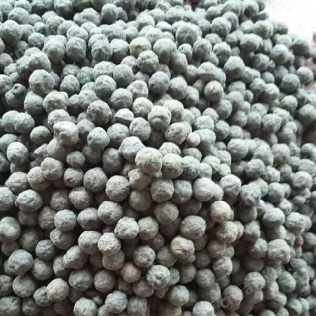 【蓝洋】上海页岩陶粒 小陶粒 水处理陶粒的用途
