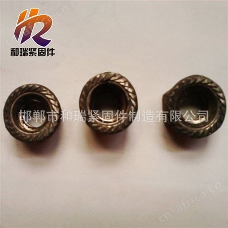 和瑞紧固件现货 粗牙螺母 量大价低   梯型扣螺母