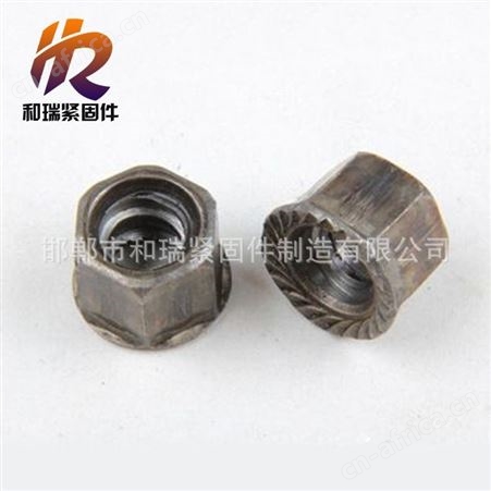 和瑞 主营 建筑类配件 梯型扣螺母 梯型扣丝杠 现货出售 规格齐全