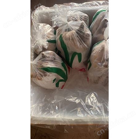 批发冻黑棕鹅 净膛鹅 批发老鹅鹅头 批发老鹅鹅头 鲜鹅皇