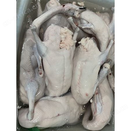 乌棕鹅 净膛鹅 批发老鹅鹅头 冷冻黑棕鹅 鲜鹅皇