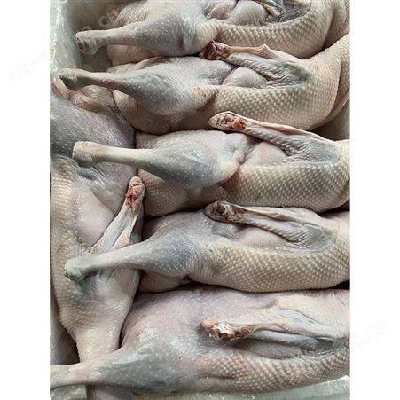 黑棕鹅 多肉鹅脚翅 源头工厂 鲜鹅皇