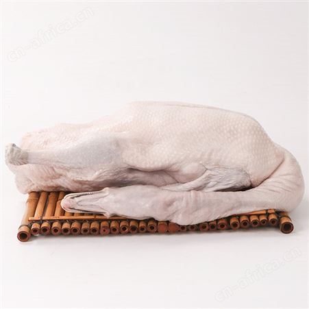 掏膛黑棕鹅厂家