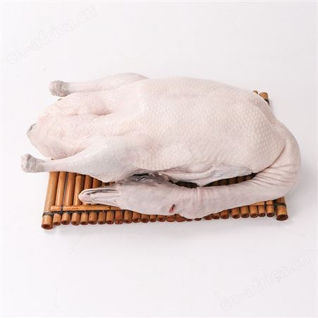 掏膛黑棕鹅厂家
