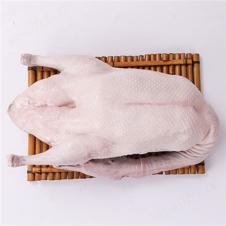 掏膛黑棕鹅厂家