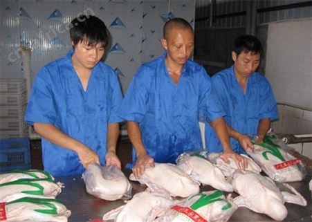 广东正宗黑棕鹅新鲜整只现杀发货