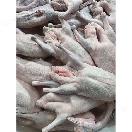鹅批发 乌棕鹅 冷冻光鹅 鹅翅膀 鲜鹅皇