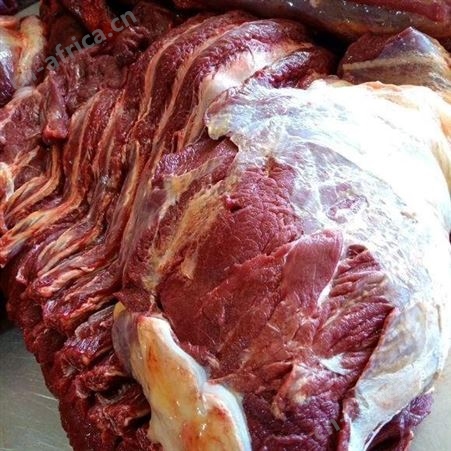 进口蒙古马 圈养基地批发马后腿肉鲜嫩可口 现杀新鲜冰冻马肉