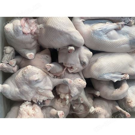 卤鹅翅食材 绿色黑棕鹅厂家 自产自销 鲜鹅皇