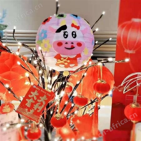 武汉灯笼DIY 儿童灯笼DIY