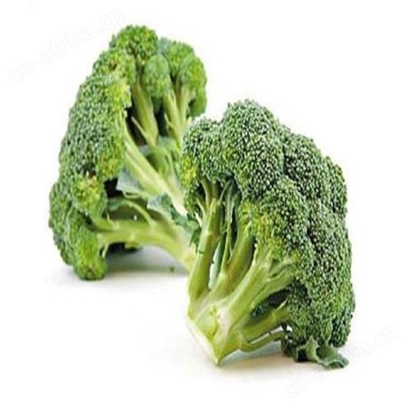 绿拓食品新鲜当季西蓝花 成品袋装花椰菜加热即食