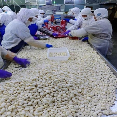绿拓食品新鲜大蒜瓣颗粒饱满 可腌制生吃调味方便食用
