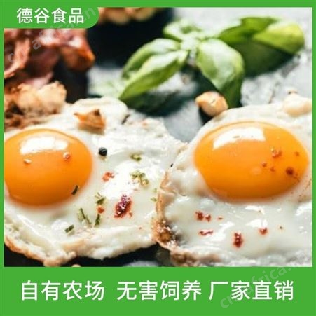 营养煎鸡蛋_即食煎鸡蛋_德谷食品_营养丰富