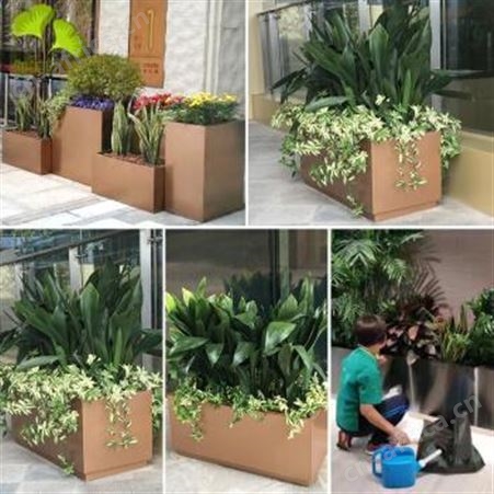 酒店装饰定制款花箱 不锈钢黑色喷漆种树花盆 不锈钢花盆厂家