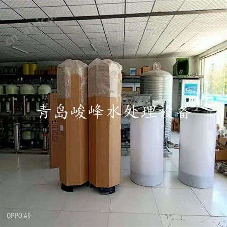 食品加工2T软化设备自动运行 二次脱盐反渗透设备定制运行稳定